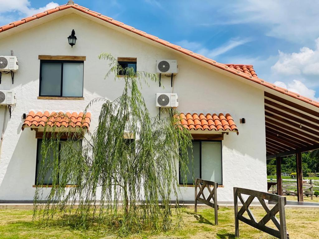 Cabana Los Sauces En Buena Vista Santa Cruz Kültér fotó